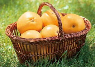 春季吃什么水果减肥最快 适合懒人的瘦身方法